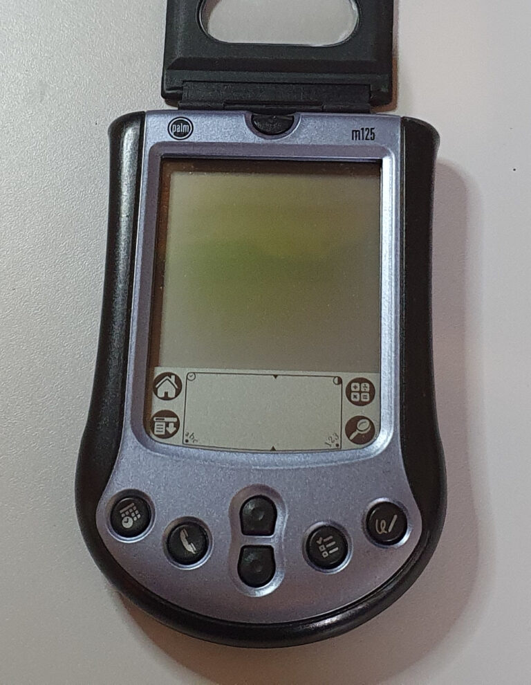 Palm m125